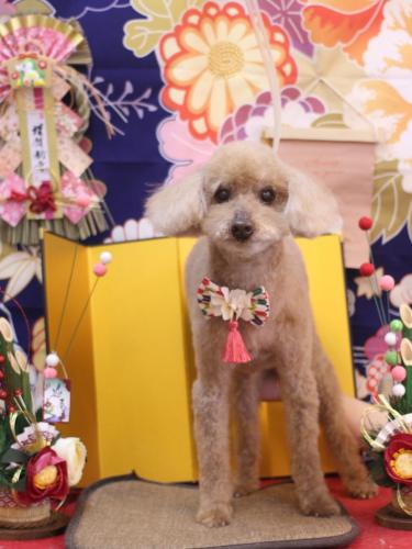 20240128こたろうくん